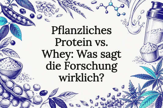 Gezeichnete Proteinquellen auf hellem Hintergrund