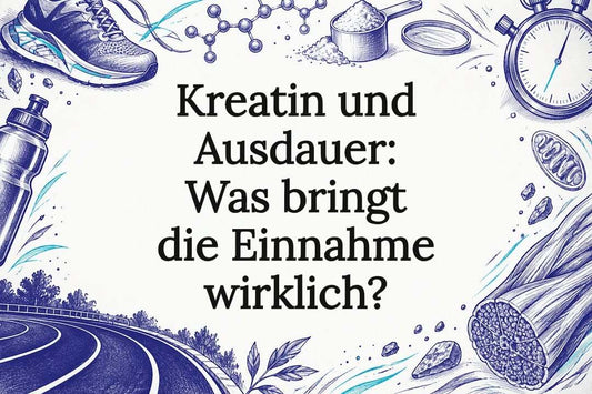 Skizzierte Titelseite zu Kreatin und Ausdauer