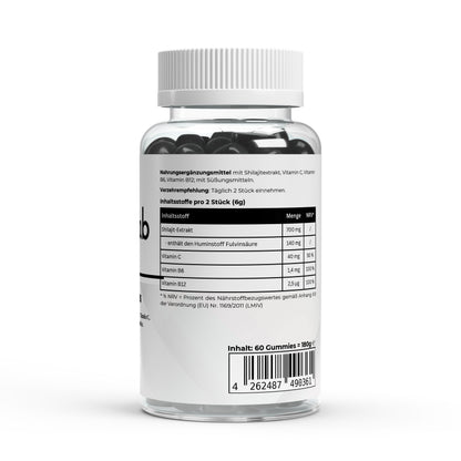 Shilajit Gummies Vitamin C B6 B12 60 Stück Energie Vitalität